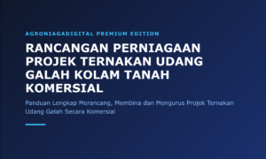 Rancangan Perniagaan Projek Ternakan Udang Galah Kolam Tanah Komersial